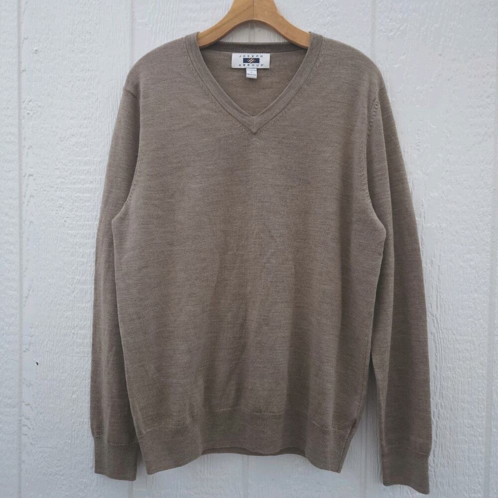 Joseph Abboud Men's L Merino Wool V-Neck Sweater Forest Preppy Granola Indie